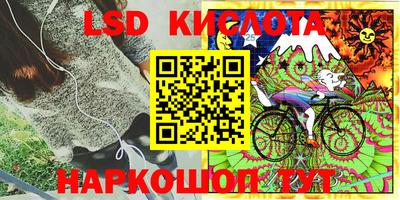 ECSTASY Обь