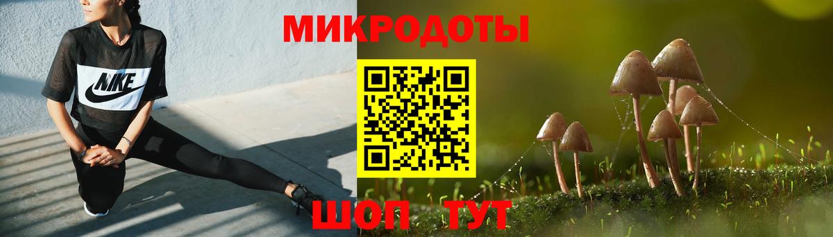 Псилоцибиновые грибы Psilocybe Скопин